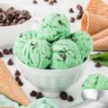 Mint Chocolate Chip