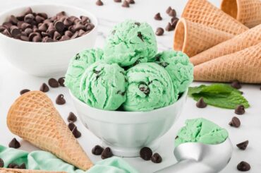 Mint-Chocolate-Chip-Ice-Cream-LOW-RES-33